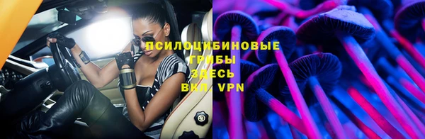 МДПВ Липки