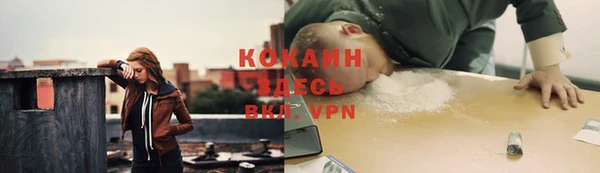 спиды Лиски