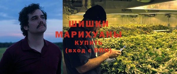 PSILOCYBIN Ладушкин