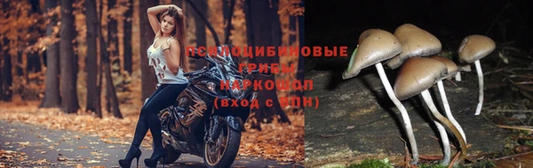 мефедрон мука Куйбышев
